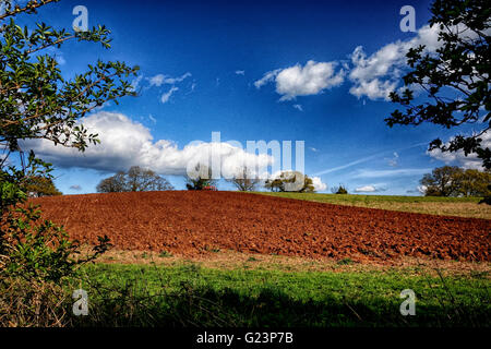 Ein offenes Feld im Lande über Breinton Common in der Nähe von Hereford gepflügt wird. Stockfoto