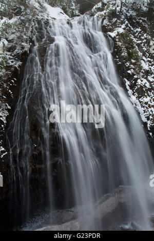 Narada Falls, Mt Rainier Nationalpark, Washington Stockfoto