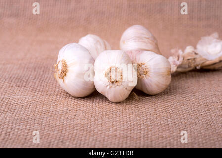 Bild von frischem Knoblauch auf Jute sack Stockfoto