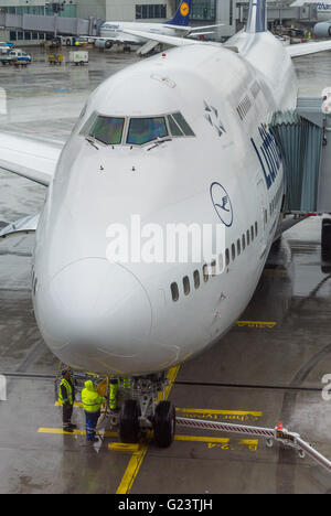 Bodenpersonal Flughafen vorbereiten einer Lufthansa Boeing 747 am Frankfurter Flughafen, Deutschland.  Flughafen Frankfurt Am Main. Stockfoto