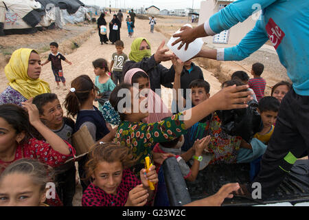 Eisverteilung vertriebenen Irakern in Answald Flüchtlingslager, Nordirak Stockfoto