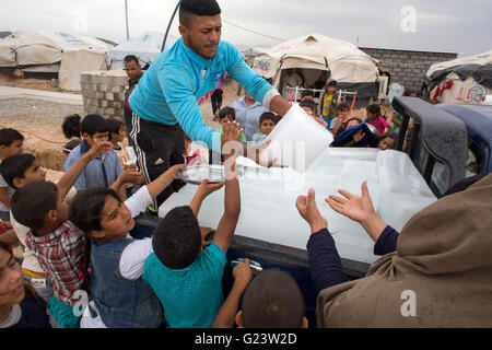 Eisverteilung vertriebenen Irakern in Answald Flüchtlingslager, Nordirak Stockfoto