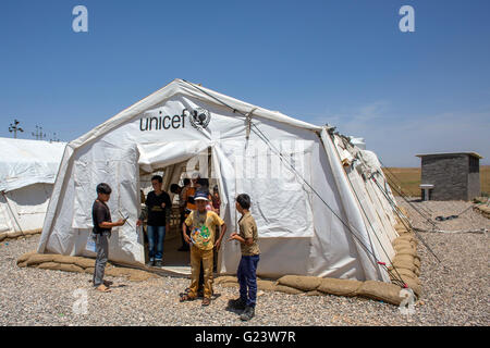 UNICEF-Schule im Flüchtlingslager Khanaqin im Irak, wo 8000 Menschen Zuflucht gefunden haben. Stockfoto