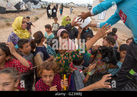 Eisverteilung vertriebenen Irakern in Answald Flüchtlingslager, Nordirak Stockfoto