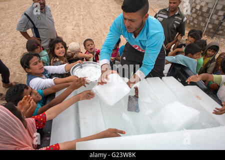 Eisverteilung vertriebenen Irakern in Answald Flüchtlingslager, Nordirak Stockfoto