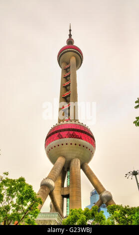 Oriental Pearl Tower in Shanghai Stockfoto