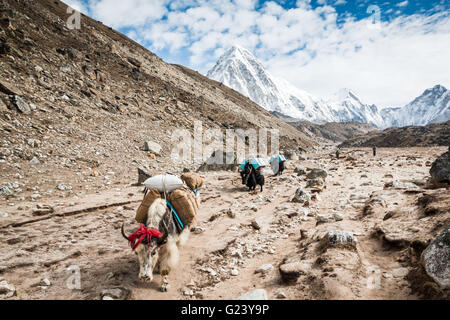 Mount Everest base camp trek Stockfoto