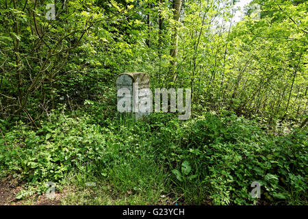 Meilenstein auf A346 in Savernake Forest Stockfoto