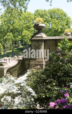 Bethesda Terrasse, Central Park im Frühling, NYC Stockfoto