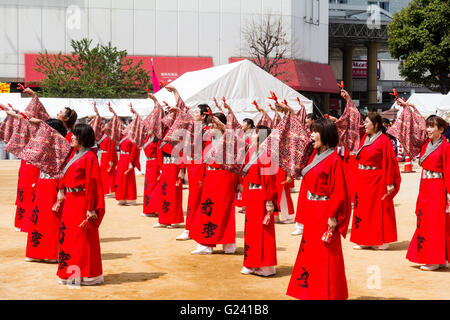 Japanische hinokuni Yosakoi Dance Festival. Dance Team, vor allem junge Frauen, Tanzen in leuchtend roten yukata Jacken und Holding naruko, hölzerne Klöppel. Stockfoto