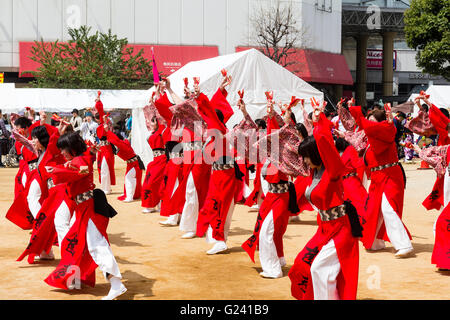 Japanische hinokuni Yosakoi Dance Festival. Dance Team, vor allem junge Frauen, Tanzen in leuchtend roten yukata Jacken und Holding naruko, hölzerne Klöppel. Stockfoto