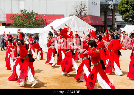 Japanische hinokuni Yosakoi Dance Festival. Dance Team, vor allem junge Frauen, Tanzen in leuchtend roten yukata Jacken und Holding naruko, hölzerne Klöppel. Stockfoto