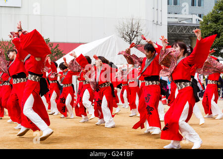 Japanische hinokuni Yosakoi Dance Festival. Dance Team, vor allem junge Frauen, Tanzen in leuchtend roten yukata Jacken und Holding naruko, hölzerne Klöppel. Stockfoto