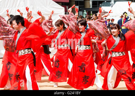 Japanische hinokuni Yosakoi Dance Festival. Dance Team, vor allem junge Frauen, Tanzen in leuchtend roten yukata Jacken und Holding naruko, hölzerne Klöppel. Stockfoto