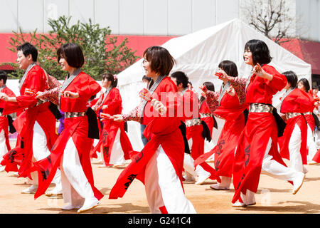 Japanische hinokuni Yosakoi Dance Festival. Dance Team, vor allem junge Frauen, Tanzen in leuchtend roten yukata Jacken und Holding naruko, hölzerne Klöppel. Stockfoto