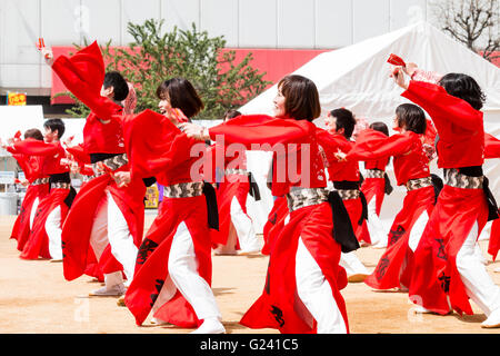 Japanische hinokuni Yosakoi Dance Festival. Dance Team, vor allem junge Frauen, Tanzen in leuchtend roten yukata Jacken und Holding naruko, hölzerne Klöppel. Stockfoto