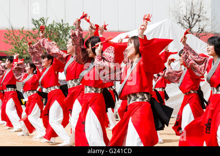 Japanische hinokuni Yosakoi Dance Festival. Dance Team, vor allem junge Frauen, Tanzen in leuchtend roten yukata Jacken und Holding naruko, hölzerne Klöppel. Stockfoto