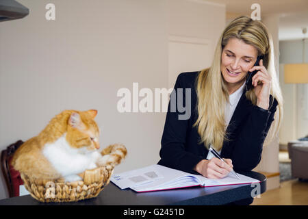 Eine Frau mittleren Alters in Anzug gerne Gespräche am Telefon, während Ihr Haustier Katze auf dem Zähler neben ihr sitzt in einem Weidenkorb. Stockfoto