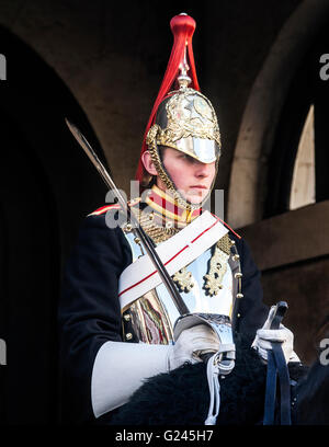 Montierten Blues and Royals Household Cavalry Trooper, Horseguards Parade, London, England. Stockfoto