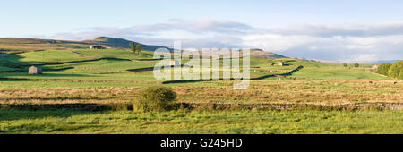 Blick über Bainbridge Weide in Wensleydale, North Yorkshire. Stockfoto