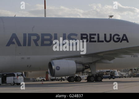 Bukarest, Rumänien - 18. Mai 2016: Airbus A300-600ST (Super Transporter), Beluga, wird für die erste Landung auf Henri Co begrüßt Stockfoto