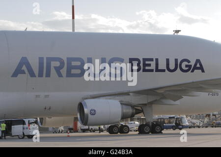 Bukarest, Rumänien - 18. Mai 2016: Airbus A300-600ST (Super Transporter), Beluga, wird für die erste Landung auf Henri Co begrüßt Stockfoto