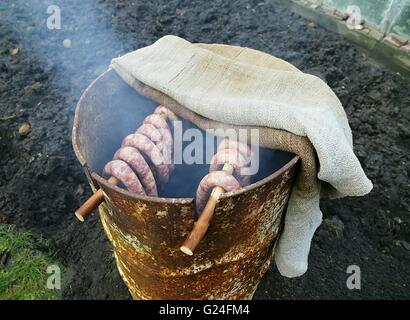 Geräucherte Würste in hausgemachten Räucherkammer im Garten. Stockfoto