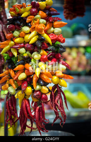 Bunte Paprika in Sant Josep Mercat, La Boqueria, Barcelona, Katalonien, Spanien Stockfoto