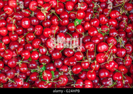 Viele rote Kirschen mit Grünpflanze auf einer Markt-Stall-Ansicht von oben hautnah Stockfoto