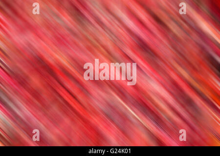 Roten Bokeh Hintergrund Unschärfe Bewegung, Fotoarchiv Stockfoto