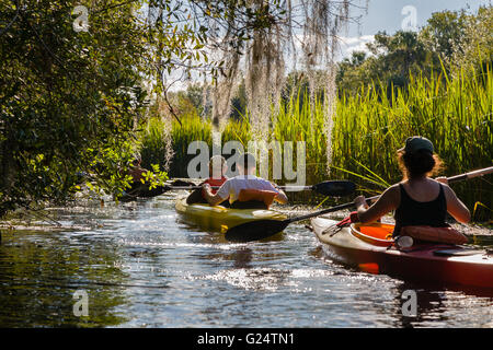 Eine Gruppe von Paddlern in Kajaks an einem Fluss in die Everglades. Stockfoto