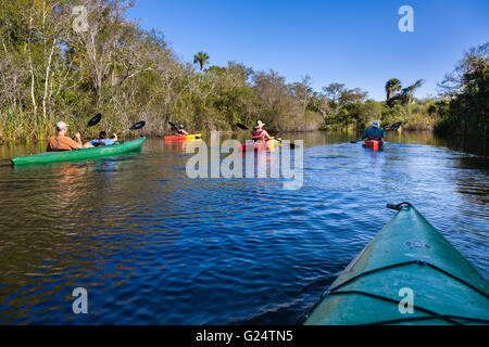 Eine Gruppe von Paddlern in Kajaks an einem Fluss in die Everglades. Stockfoto
