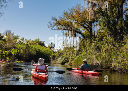 Eine Gruppe von Paddlern in Kajaks an einem Fluss in die Everglades. Stockfoto