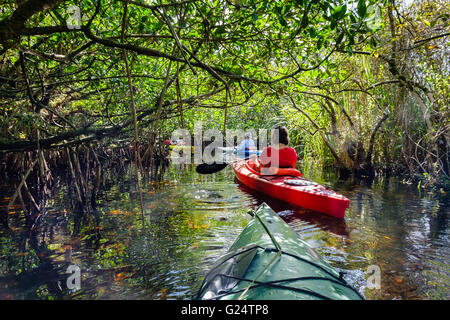 Eine Gruppe von Paddlern in Kajaks an einem Fluss in die Everglades. Stockfoto