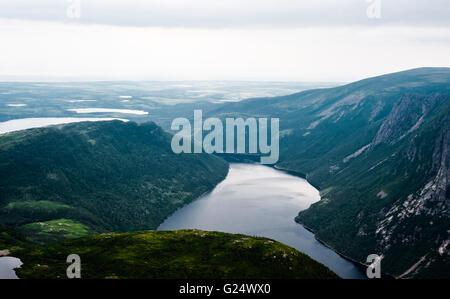 Inland Fjord zwischen großen steilen Klippen fließt, mit grünen Landschaft in Wolken und Nebel verschwinden, auf der Oberseite des Gros Morne. Stockfoto