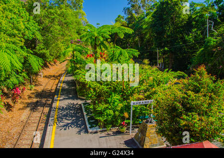 Kuranda. Stockfoto