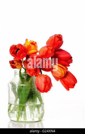 Aroma, Blume, frisch, offen, Reflexion, Stil leben, Frühling, Tulpen, Zusammensetzung, schön, Schönheit, Blüte, Blüte, Strauß, Stockfoto