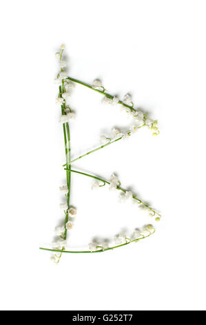 Englische Alphabet von Blume Buchstaben. kreative Deko Buchstabe B Stockfoto