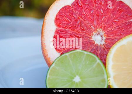 Bunten tropischen Früchten und Scheiben - Zitrone, Limette, rote grapefruit Stockfoto