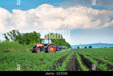 Nahaufnahme der Landwirtschaft roten Traktor Anbau Feld über blauen Himmel. Stockfoto