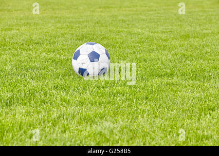 Leder-Fußball auf Rasen, Platz für Text, geringe Schärfentiefe verwendet. Stockfoto
