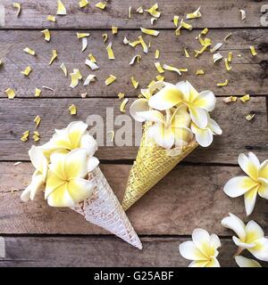 Konzeptionelle Eistüten mit Frangipani Blumen gemacht Stockfoto