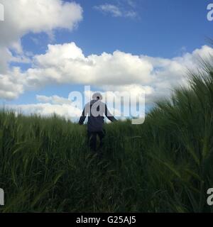 Rückansicht des Mannes zu Fuß durch Feld, Niort, Frankreich Stockfoto