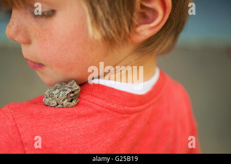 Kröte auf jungen Schultern sitzen Stockfoto