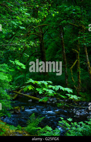 Hood River Cloumbia River Gorge Stockfoto