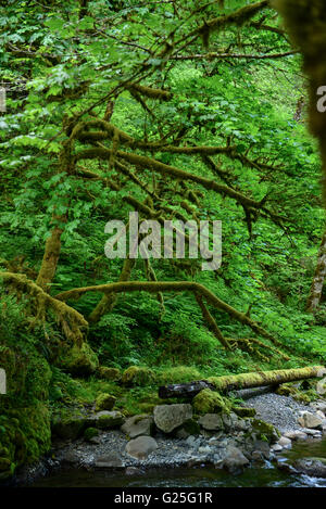 Hood River Cloumbia River Gorge Stockfoto