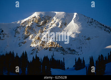 Winter-Blick auf Schnee bedeckt Mount Baldy; Alta; Little Cottonwood Canyon; Utah Stockfoto