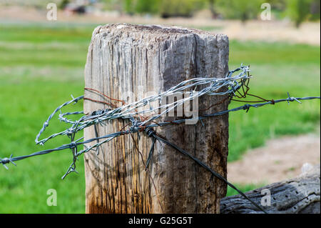 Stacheldraht auf Ranch Wiese hölzerner Zaunpfahl; zentralen Colorado; USA Stockfoto