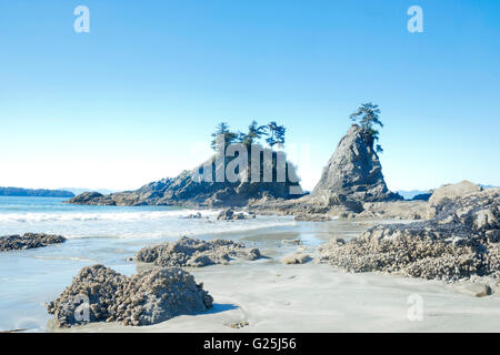 Schöne Brady Beach, Bamfield, Vancouver island Stockfoto