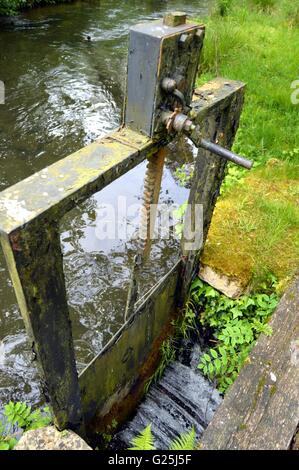 Kleines Schloss auf einem kleinen schwarzen Bach der Farbe. Stockfoto